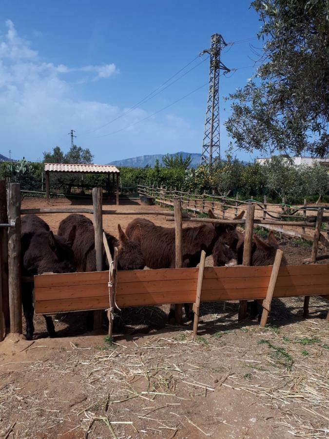 Casa Vacanza Demi Alcamo Marina Εξωτερικό φωτογραφία