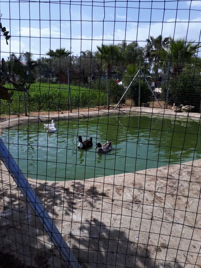 Casa Vacanza Demi Alcamo Marina Εξωτερικό φωτογραφία
